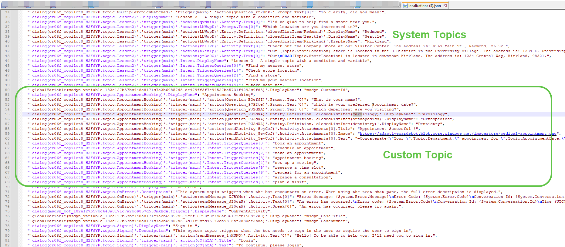 Initial JSON File